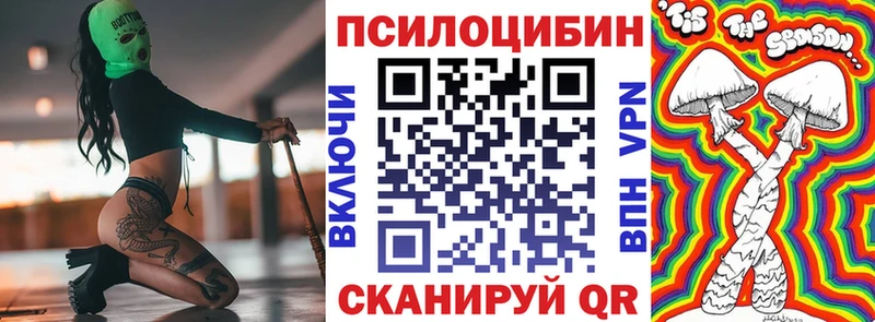 закладки  Кызыл  Псилоцибиновые грибы Cubensis 